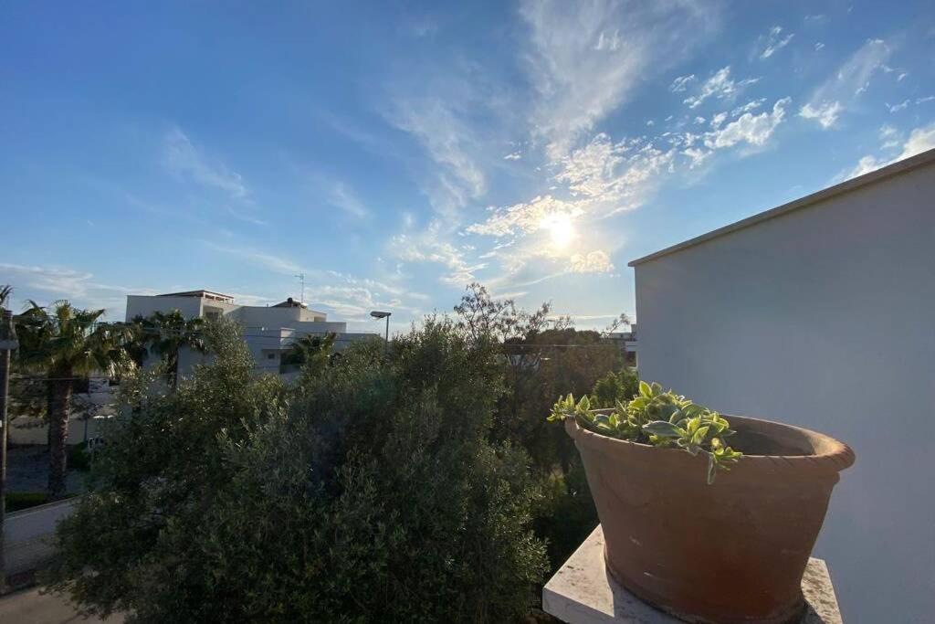 Villa Fiorella Porto Cesareo primo piano 2 locali Esterno foto